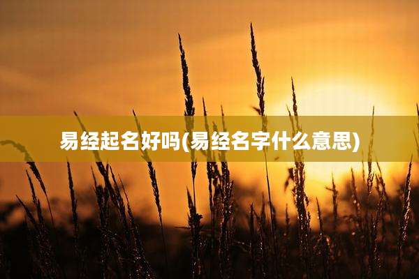 易经起名好吗(易经名字什么意思)