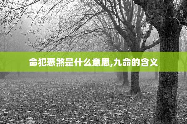 命犯恶煞是什么意思,九命的含义