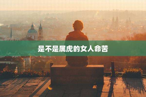 是不是属虎的女人命苦