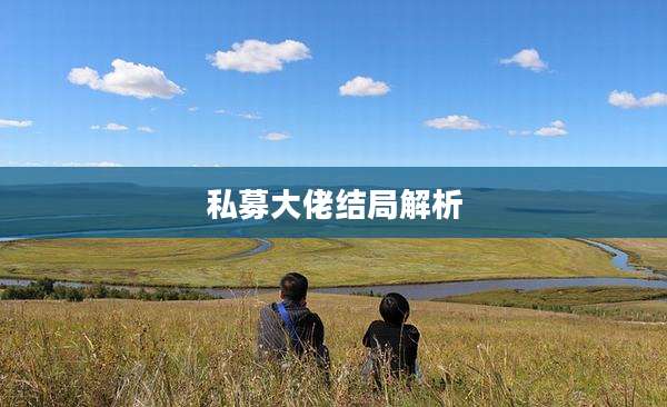 私募大佬结局解析