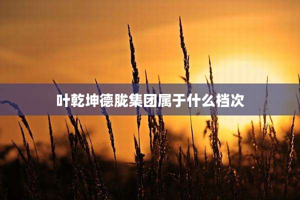 叶乾坤德胧集团属于什么档次