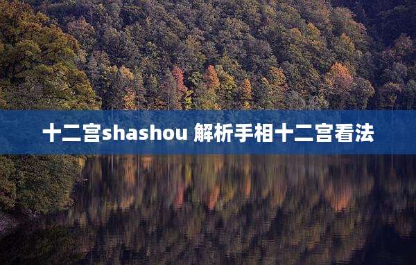 十二宫shashou 解析手相十二宫看法