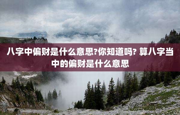 八字中偏财是什么意思?你知道吗? 算八字当中的偏财是什么意思
