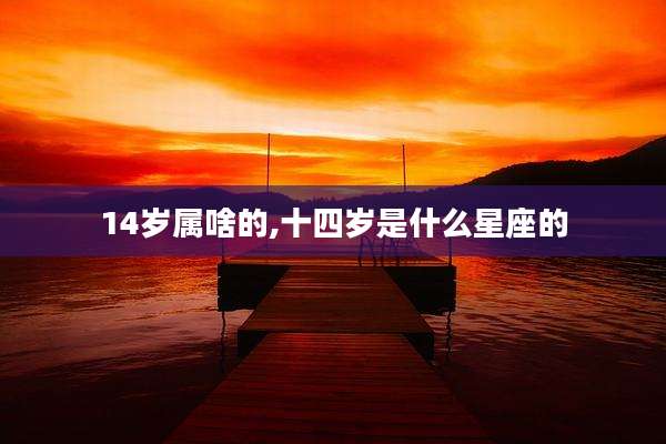 14岁属啥的,十四岁是什么星座的