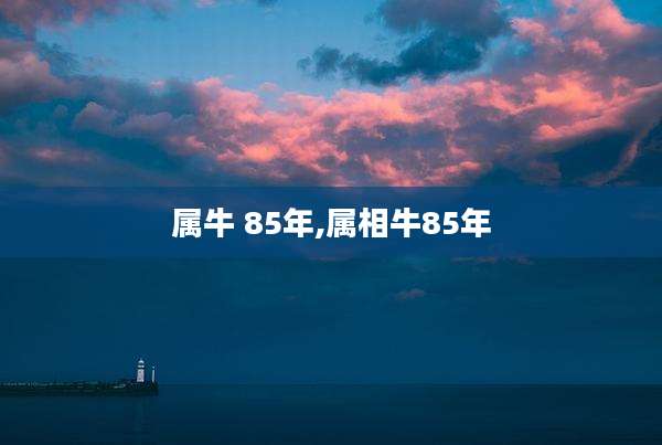 属牛 85年,属相牛85年