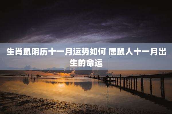 生肖鼠阴历十一月运势如何 属鼠人十一月出生的命运