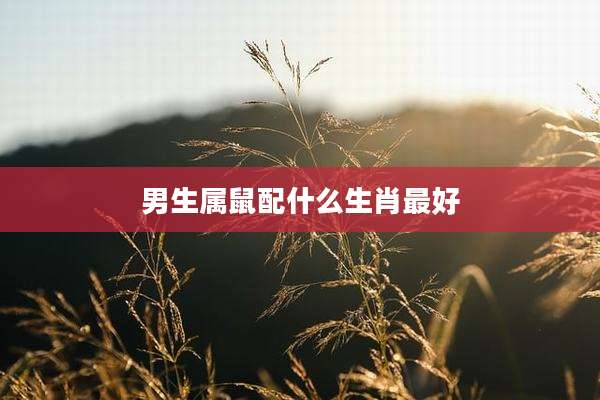 男生属鼠配什么生肖最好