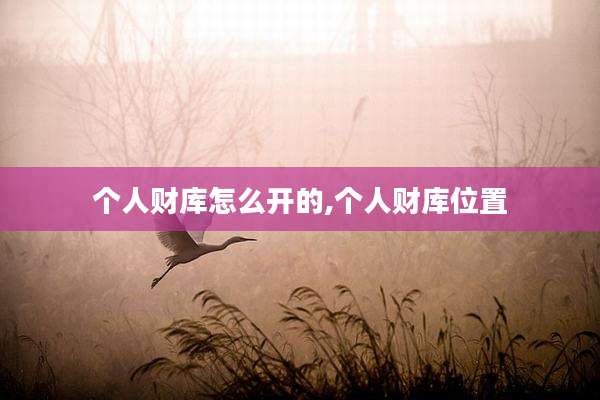 个人财库怎么开的,个人财库位置