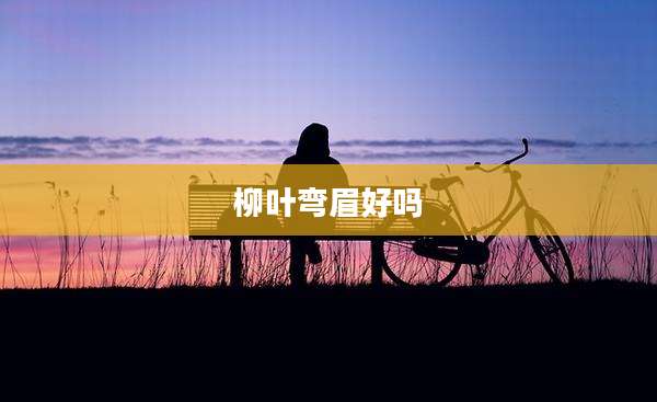 柳叶弯眉好吗