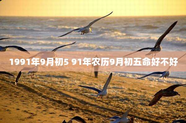 1991年9月初5 91年农历9月初五命好不好