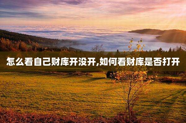 怎么看自己财库开没开,如何看财库是否打开