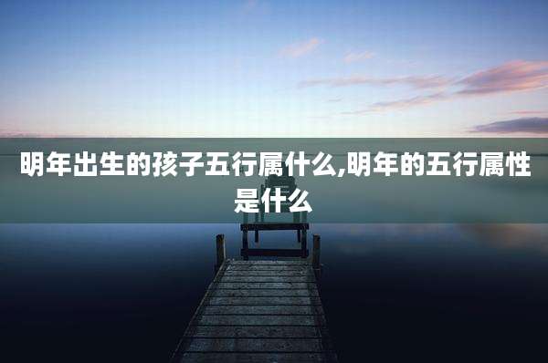 明年出生的孩子五行属什么,明年的五行属性是什么