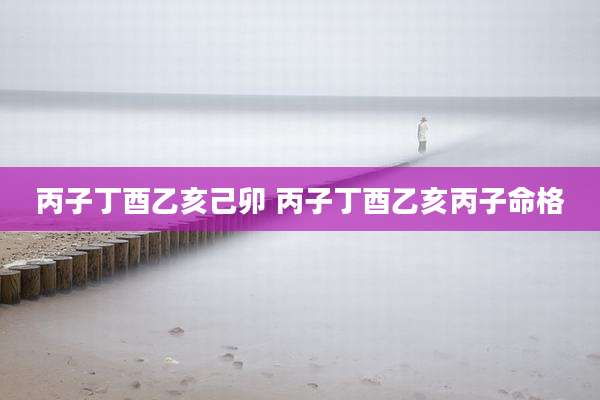 丙子丁酉乙亥己卯 丙子丁酉乙亥丙子命格