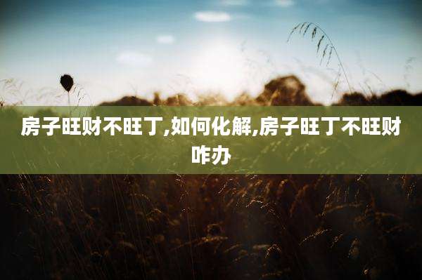 房子旺财不旺丁,如何化解,房子旺丁不旺财咋办