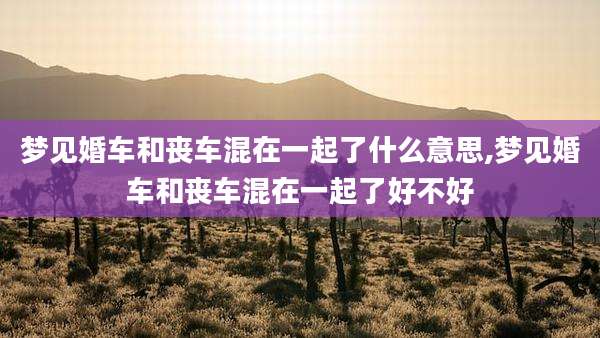梦见婚车和丧车混在一起了什么意思,梦见婚车和丧车混在一起了好不好