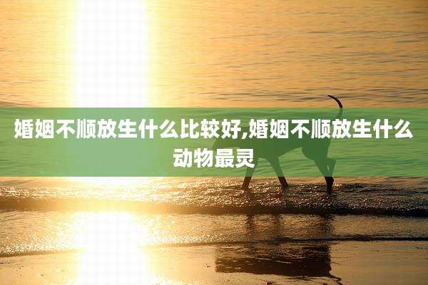 婚姻不顺放生什么比较好,婚姻不顺放生什么动物最灵