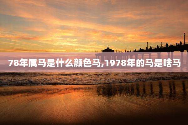 78年属马是什么颜色马,1978年的马是啥马