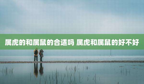 属虎的和属鼠的合适吗 属虎和属鼠的好不好