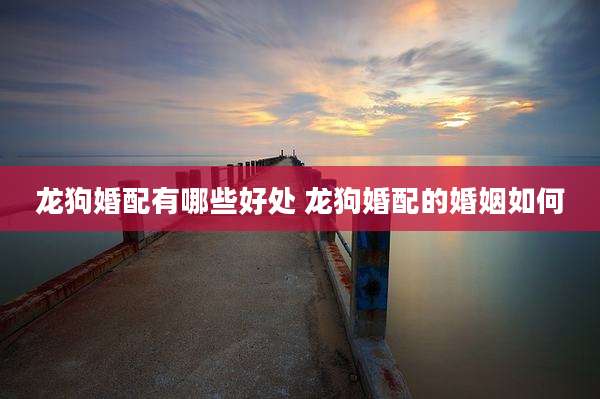 龙狗婚配有哪些好处 龙狗婚配的婚姻如何