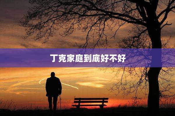 丁克家庭到底好不好