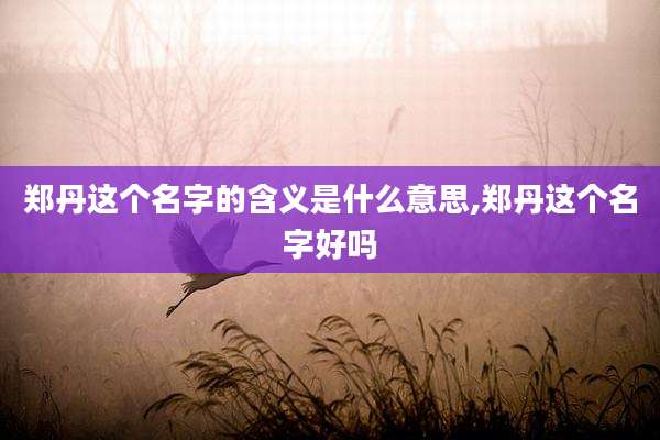 郑丹这个名字的含义是什么意思,郑丹这个名字好吗