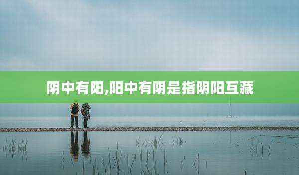 阴中有阳,阳中有阴是指阴阳互藏