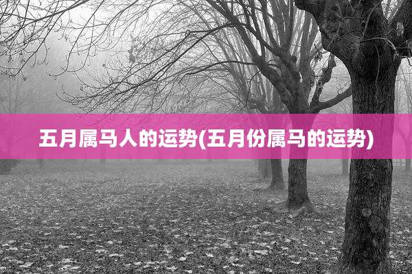 五月属马人的运势(五月份属马的运势)