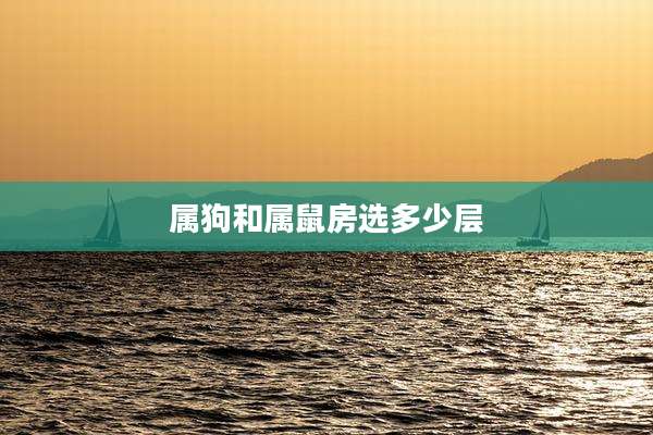 属狗和属鼠房选多少层
