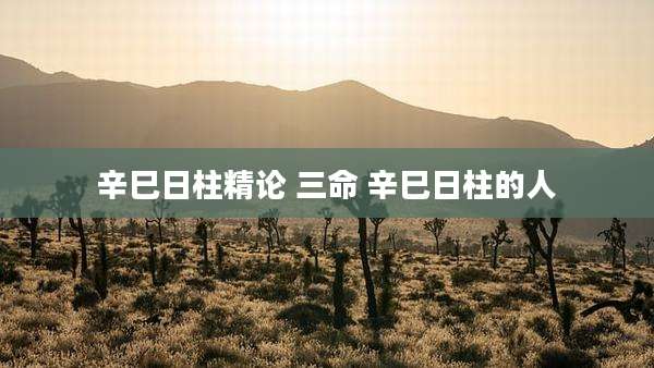辛巳日柱精论 三命 辛巳日柱的人