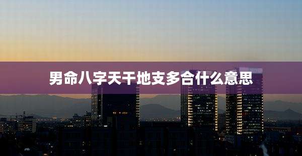 男命八字天干地支多合什么意思