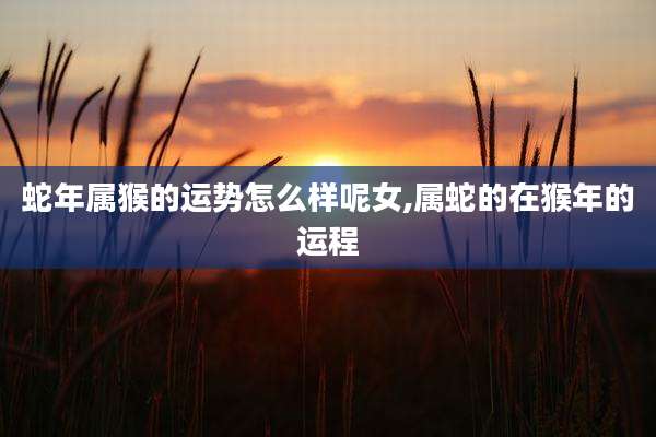 蛇年属猴的运势怎么样呢女,属蛇的在猴年的运程