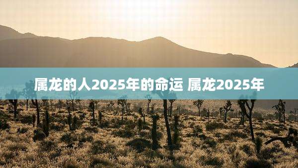 属龙的人2025年的命运 属龙2025年