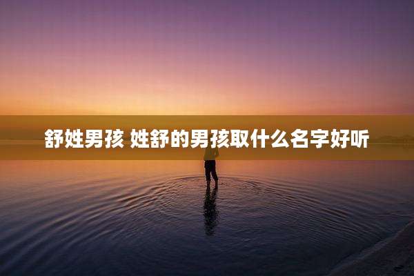 舒姓男孩 姓舒的男孩取什么名字好听