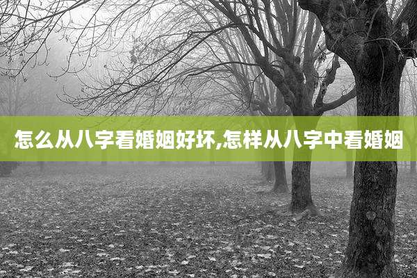怎么从八字看婚姻好坏,怎样从八字中看婚姻