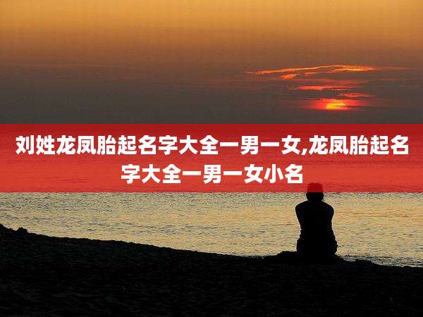 刘姓龙凤胎起名字大全一男一女,龙凤胎起名字大全一男一女小名