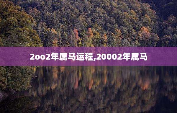 2oo2年属马运程,20002年属马