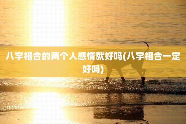 八字相合的两个人感情就好吗(八字相合一定好吗)