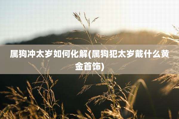 属狗冲太岁如何化解(属狗犯太岁戴什么黄金首饰)