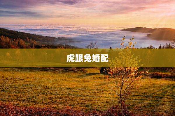 虎跟兔婚配