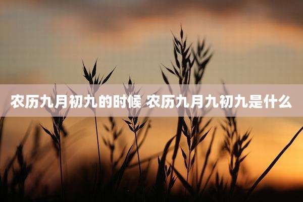 农历九月初九的时候 农历九月九初九是什么