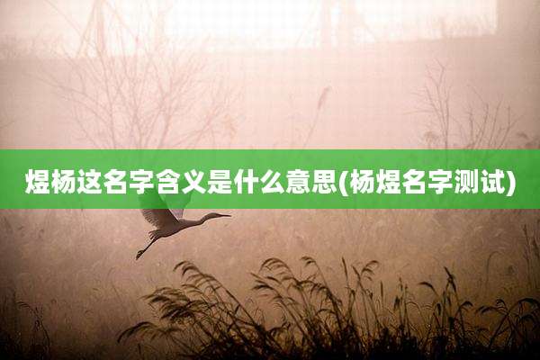 煜杨这名字含义是什么意思(杨煜名字测试)
