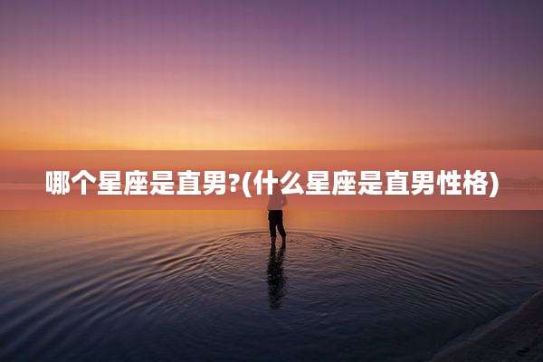 哪个星座是直男?(什么星座是直男性格)
