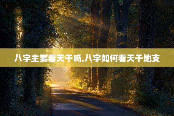 八字主要看天干吗,八字如何看天干地支