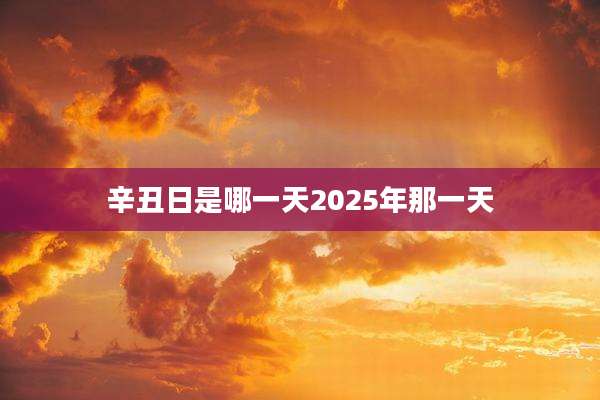 辛丑日是哪一天2025年那一天