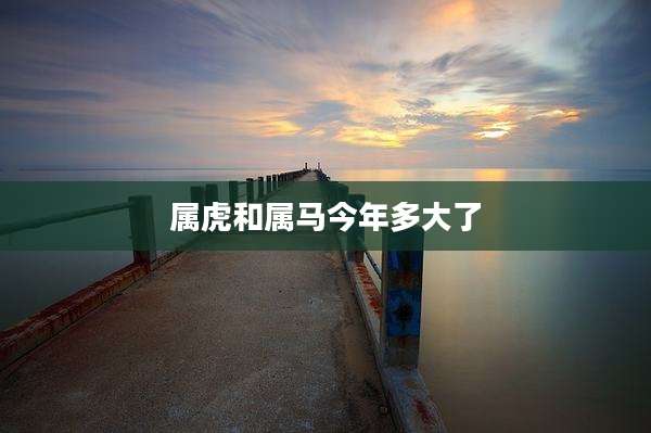 属虎和属马今年多大了