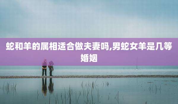 蛇和羊的属相适合做夫妻吗,男蛇女羊是几等婚姻