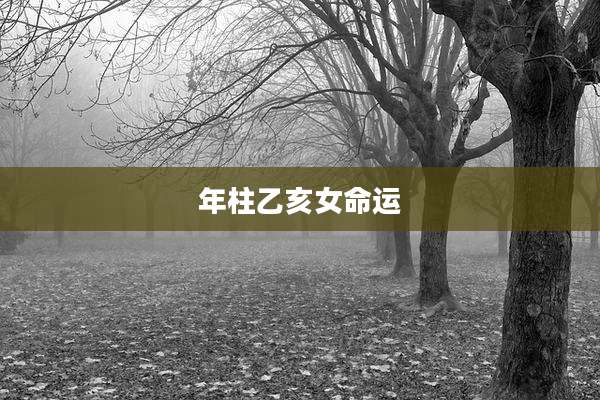 年柱乙亥女命运