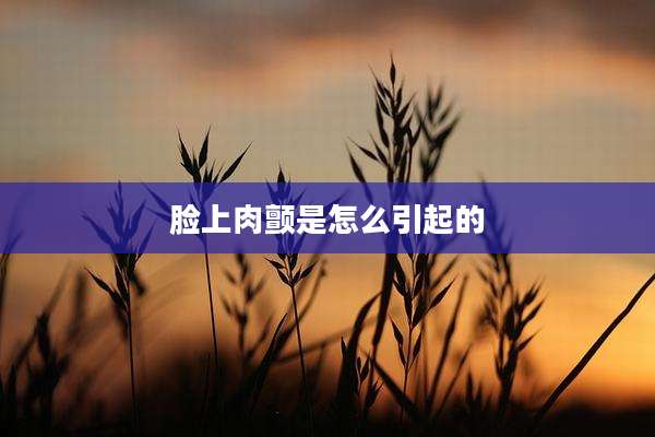 脸上肉颤是怎么引起的