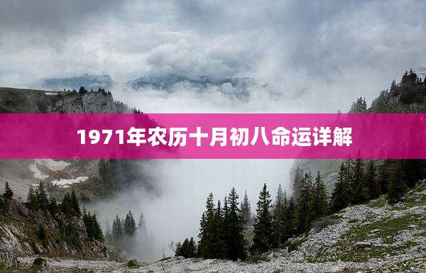 1971年农历十月初八命运详解