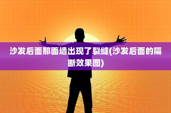 沙发后面那面墙出现了裂缝(沙发后面的隔断效果图)